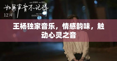 王杨独家音乐，情感韵味，触动心灵之音