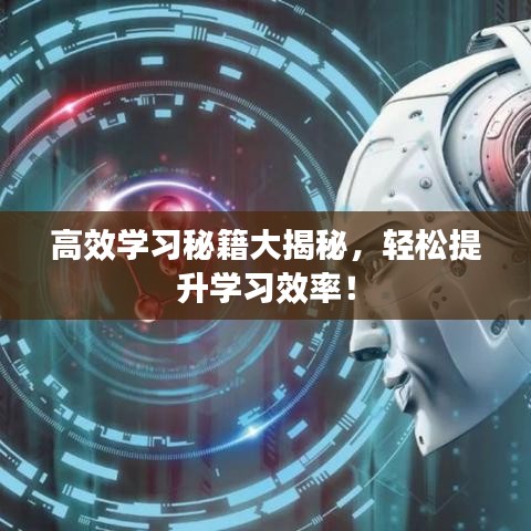 高效学习秘籍大揭秘，轻松提升学习效率！