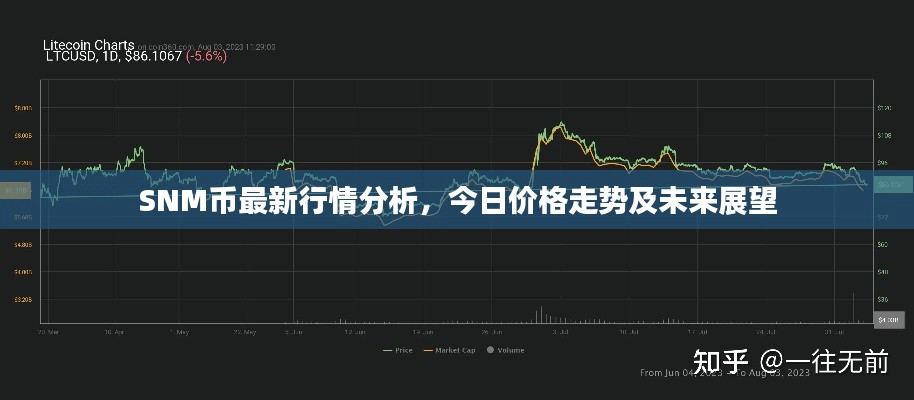 SNM币最新行情分析，今日价格走势及未来展望
