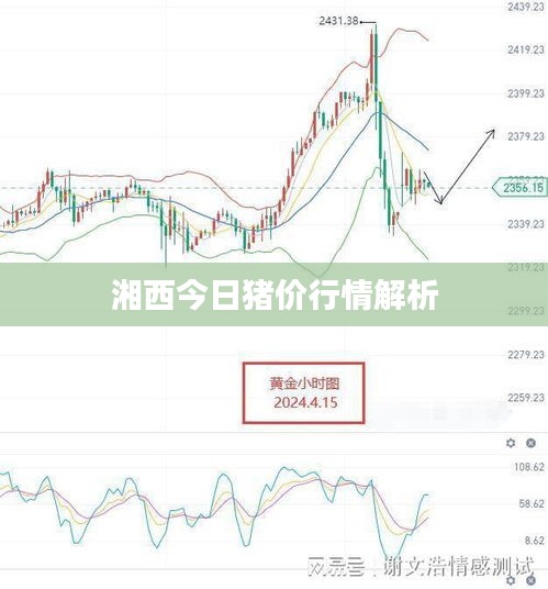 湘西今日猪价行情解析