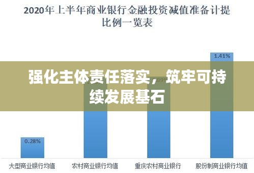 强化主体责任落实，筑牢可持续发展基石
