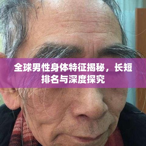 全球男性身体特征揭秘，长短排名与深度探究