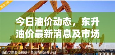 今日油价动态，东升油价最新消息及市场走势深度解析