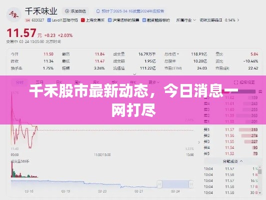 千禾股市最新动态，今日消息一网打尽