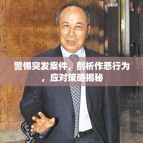 警惕突发案件，剖析作恶行为，应对策略揭秘