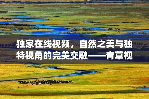 独家在线视频，自然之美与独特视角的完美交融——青草视觉盛宴