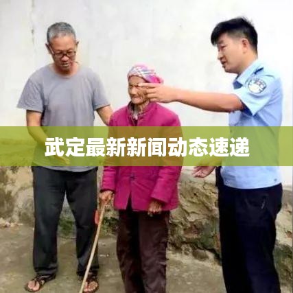 武定最新新闻动态速递