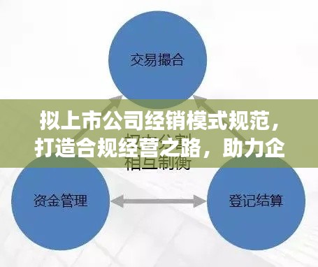 拟上市公司经销模式规范，打造合规经营之路，助力企业成功上市！