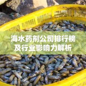 海水药剂公司排行榜及行业影响力解析