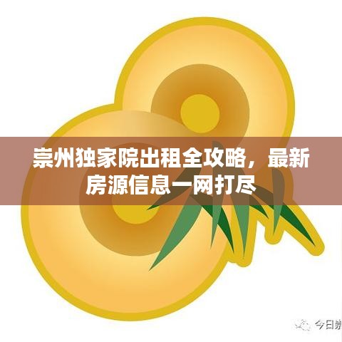 崇州独家院出租全攻略，最新房源信息一网打尽