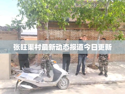 张旺渠村最新动态报道今日更新