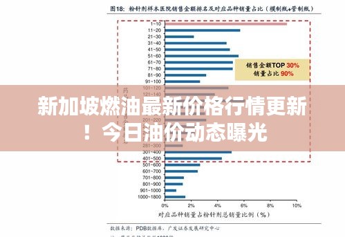 新加坡燃油最新价格行情更新！今日油价动态曝光