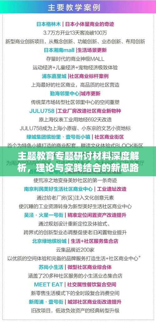 主题教育专题研讨材料深度解析，理论与实践结合的新思路