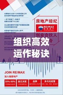 组织高效运作秘诀，提升效率的实用方法揭秘！