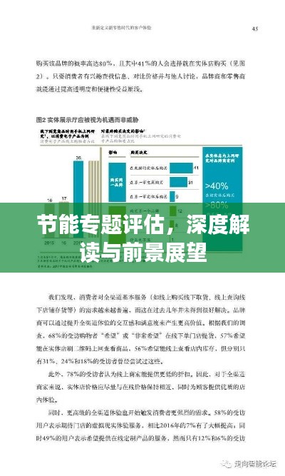 节能专题评估，深度解读与前景展望