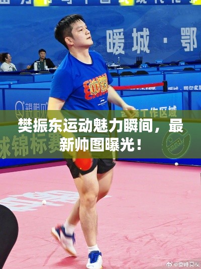樊振东运动魅力瞬间，最新帅图曝光！