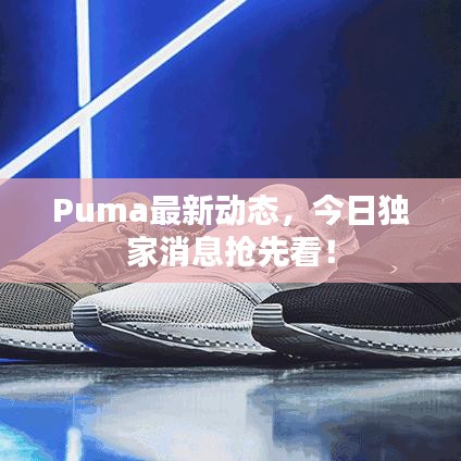 Puma最新动态，今日独家消息抢先看！