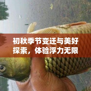 初秋季节变迁与美好探索，体验浮力无限的季节魅力
