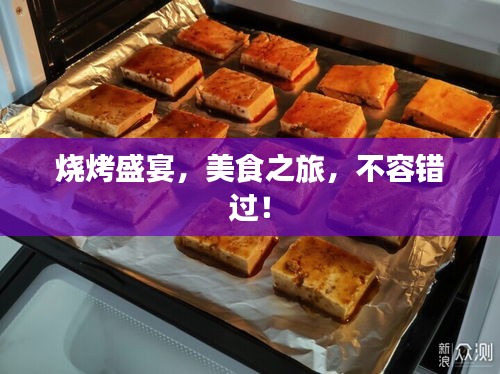 烧烤盛宴，美食之旅，不容错过！