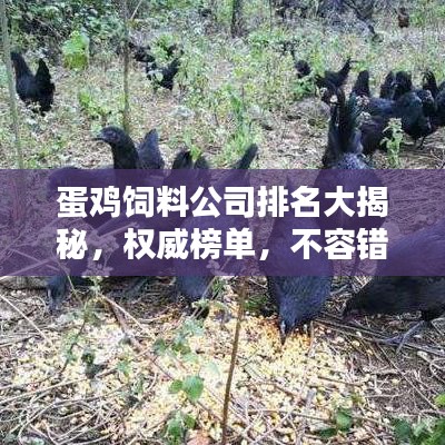蛋鸡饲料公司排名大揭秘，权威榜单，不容错过！