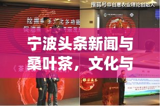 宁波头条新闻与桑叶茶，文化与健康的完美交融盛宴