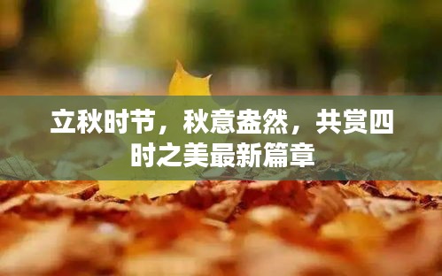 立秋时节，秋意盎然，共赏四时之美最新篇章