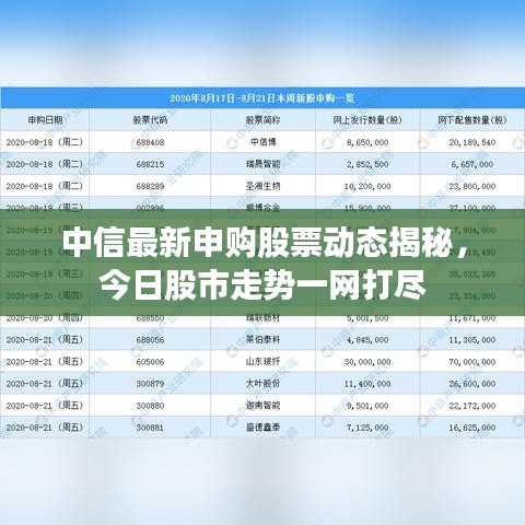 中信最新申购股票动态揭秘，今日股市走势一网打尽