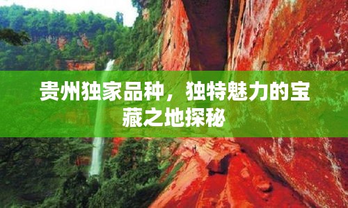 贵州独家品种，独特魅力的宝藏之地探秘