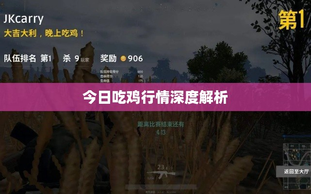 今日吃鸡行情深度解析