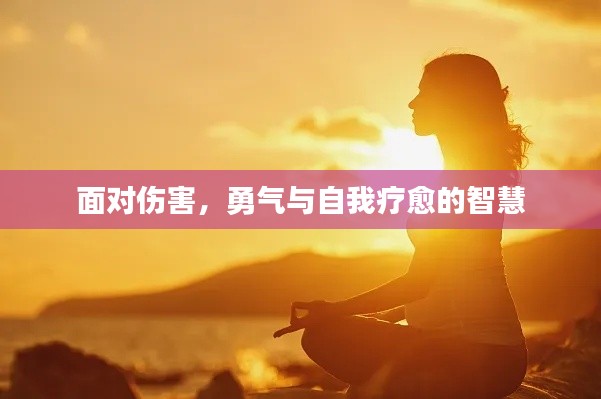 面对伤害，勇气与自我疗愈的智慧