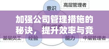 加强公司管理措施的秘诀，提升效率与竞争力！