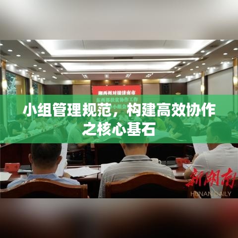 小组管理规范，构建高效协作之核心基石
