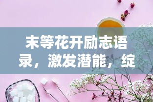 末等花开励志语录，激发潜能，绽放人生光彩！