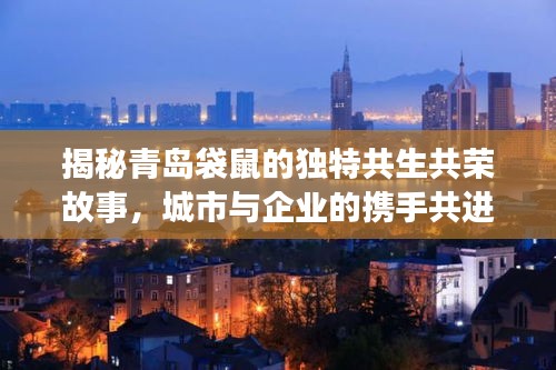 揭秘青岛袋鼠的独特共生共荣故事，城市与企业的携手共进之路