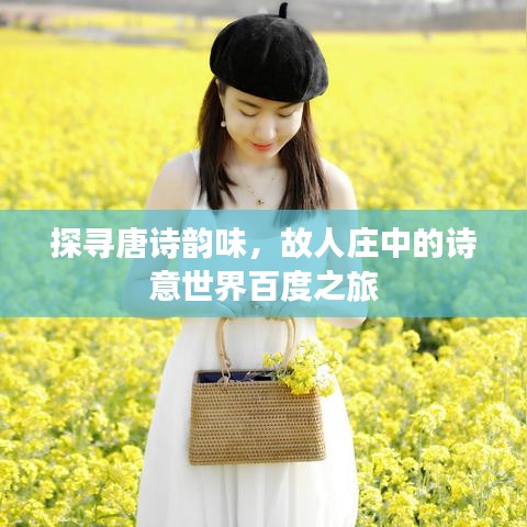 探寻唐诗韵味，故人庄中的诗意世界百度之旅