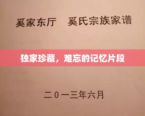 独家珍藏，难忘的记忆片段