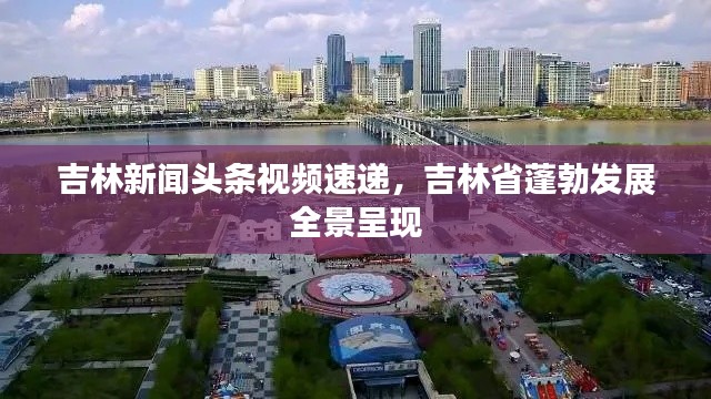 吉林新闻头条视频速递，吉林省蓬勃发展全景呈现