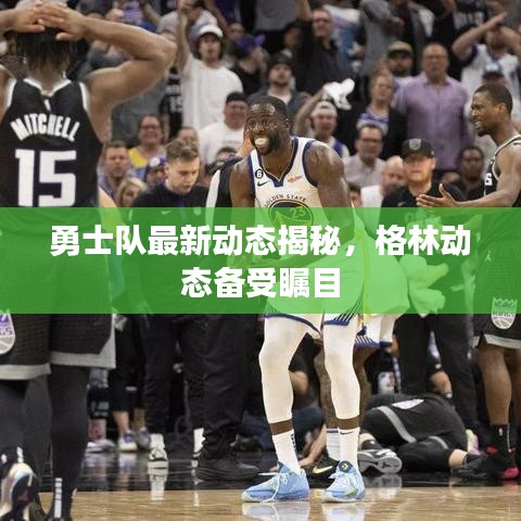 勇士队最新动态揭秘，格林动态备受瞩目