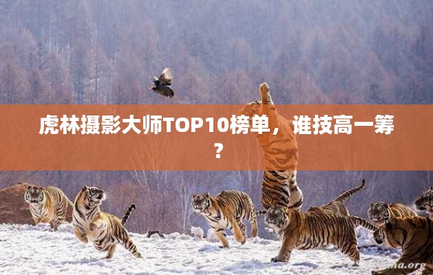 虎林摄影大师TOP10榜单，谁技高一筹？