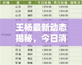 王杨最新动态揭秘，今日消息一网打尽！