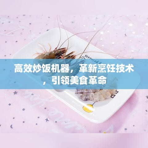 高效炒饭机器，革新烹饪技术，引领美食革命
