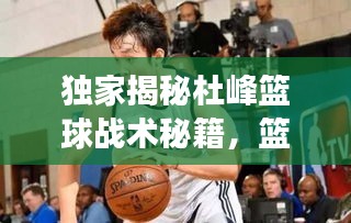 独家揭秘杜峰篮球战术秘籍，篮球战术大师的独特视角