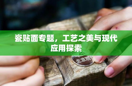瓷贴面专题，工艺之美与现代应用探索