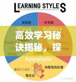 高效学习秘诀揭秘，探索与比较不同学习方式的优劣