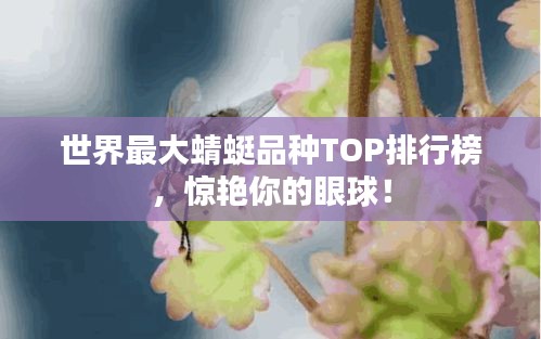 世界最大蜻蜓品种TOP排行榜，惊艳你的眼球！