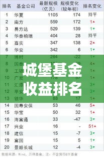 城堡基金收益排名TOP10，投资领域的领军者